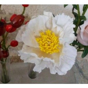 Kit Box - Poppy Set (3-teilig)