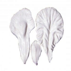 SK Blütenblatt-Veiner - Iris Bearded
