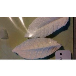SK Leaf-Veiner Cherry-Wild M