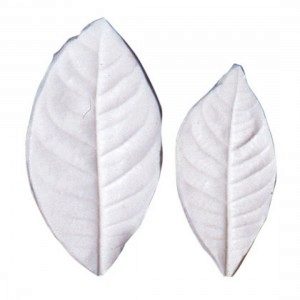 SK Leaf Veiner Gardenia L