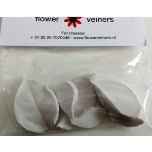 FlowerVeiners - Bouganville 3-teilig