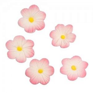 Culpitt Sugar decorations Daisy pink 12pcs