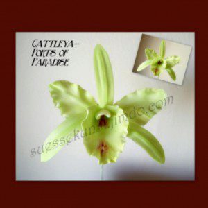 PME Ausstecher Orchidee Cattleya, 3-teilig