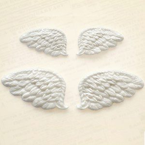 KatySue Mould Wings