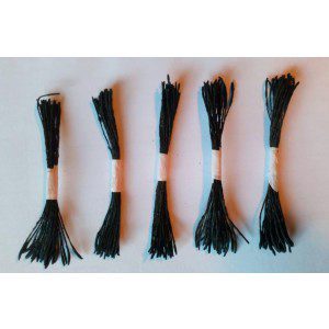 Staubgefäße / Stamens schwarz, längliche schwarze Köpfe