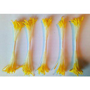 Staubgefäße / Stamens, längliche gelbe Köpfe