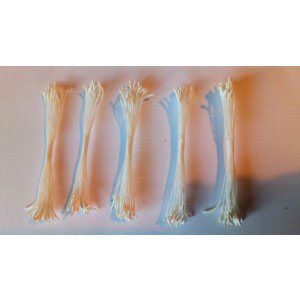 Staubgefäße / Stamens, längliche weiße Köpfe