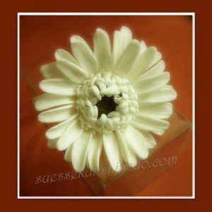PME Sunflower/Daisy/Gerbera Plunger Cutter, 70 mm