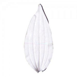 SK Leaf Veiner Lily L