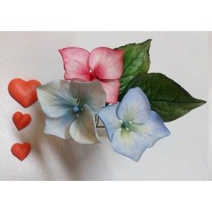 SK Blatt - Veiner Hydrangea L - Hortensie - Leaf