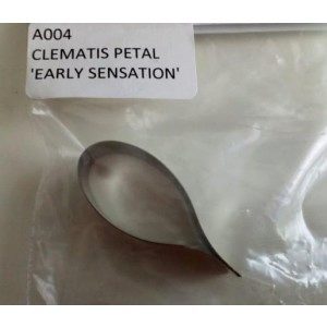 Kit Box - Clematis Petal
