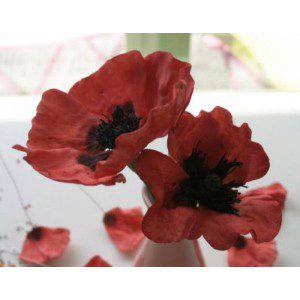 Fine Cut - Iceland Poppy, 2-teilig