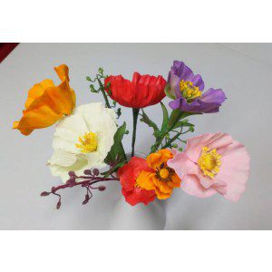 Zuckerblumenkurs - Mohn / Papaver = BELEGT