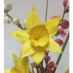 Zuckerblumenkurs - weiße und gelbe Narzissen - 16./17.3.