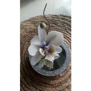 Zuckerblumenkurs - MOTH-Orchidee 13.04., bereits belegt