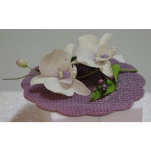 Zuckerblumenkurs - Orchidee - 27.08.