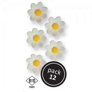 PME White Daisies Pkg/12