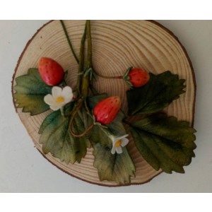 Kurs - Walderdbeeren - 08.07. - schon belegt!