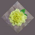 PME Rosenblütenblätter, 4-teilig, verschiedengroß (rose petal cutter)