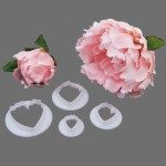 FMM Set mit Peony und Fuchsien - Ausstecher