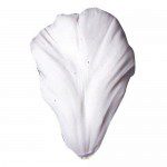 SK Petal Veiner Tulip - Parrot-Roccoco L