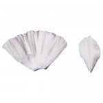SK Daffodil L Petal-Veiner 