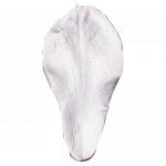 SK Magnolia Petal W Veiner 