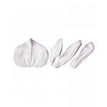 SK Great Impressions Petal Veiner  - Orchid Slipper, 4-teilig