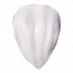 SK Peony M - Pfingstrose, Petal-Veiner