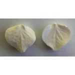 SK Petal Veiner - Hydrangea S - Hortensie