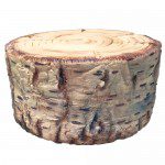 Karen Davies Siliconen Mould - Rustic Birch by Alice, Birkenmould