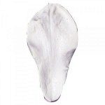 Squires Kitchen Veiner Petal Set - Magnolia VL und W