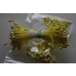 Staubgefäße / Stamens tränenförmig in gelb
