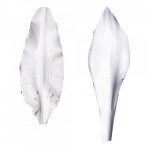 Squires Kitchen, 3 verschiedene Lilien Veiner
