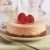 Wilton Mini Springform Set/3
