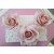 Zuckerblumenkurs - Rose (mit Draht) 04.05. - belegt