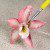 PME Fine Craft Brushes, 5-teilig