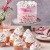 FC Mix für Enchanted Cream® 900 g