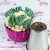 Sugar and Crumbs Nifty Nozzle -Fern XL-