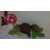 Motivtorte Herbst