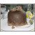Wilton Tasty-Fill, Mini Cake Pan Set - vierteilig