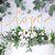 PartyDeco Holz Cake Topper Love