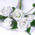 Renshaw Flower & Modelling Paste, weiß, Blüten-Modellierpaste